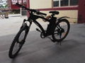 Electric Mountain Bike CE 250W