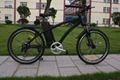 Electric Mountain Bike CE 250W 3