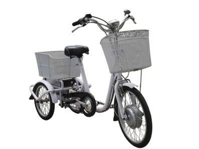 Electric tricycle  CE 250W