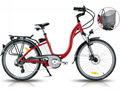 Electric Bike (B-EB-15 ) CE 250W 1