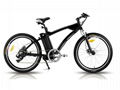 Electric Bicycle,e-bike (B-EB-13 ) CE 250W