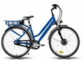 Electric Bike (B-EB-18) CE 250W