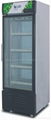 Ultra Low Temperature Upright Freezer Glass Door Upright Display Showcase Freeze