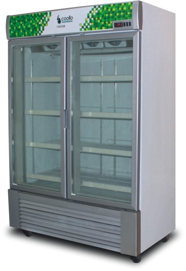 Upright Freezer Ultra Low Temperature Upright Display Showcase Freezer 2 Doors