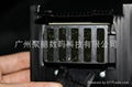 epson DX6 print head