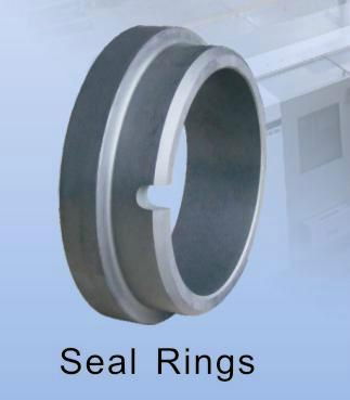 Sealing Ring for Mechanical Seals
