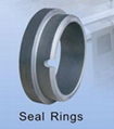 Sealing Ring for Mechanical Seals 1