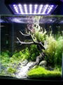 led aquarium light