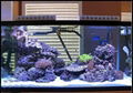 led aquarium light 2