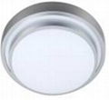 led ceiling light