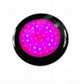 90w grow light 1