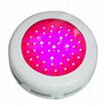 90w grow light 2