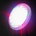 Par56 LED Underwater Light  2