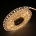 smd 5050 Christmas decor rgb led flexible strip light/ 1