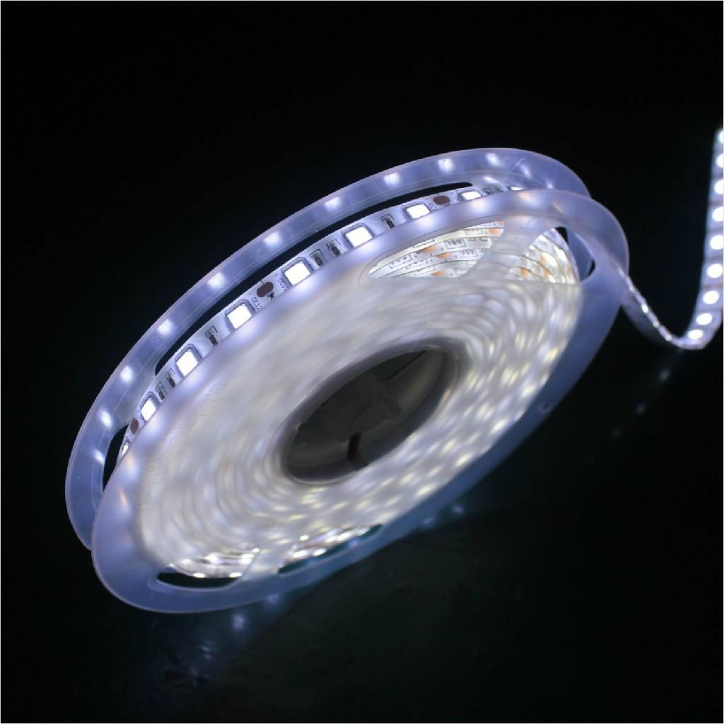 smd 5050 Christmas decor rgb led flexible strip light/ 2