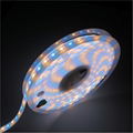 smd 5050 Christmas decor rgb led flexible strip light/ 3