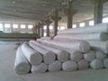 Geotextile 1