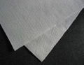 Geotextile 2