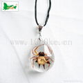 Insect amber jewelry-Pendant 1