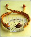 Insect amber crafts-Bracelet