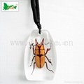 Insect amber jewelry-Pendant 2