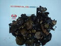 Cashew nuts shell 3