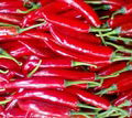 Red big chilli