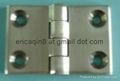 Stainless Steel Hinge