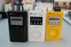 FM digital radio with USB/SD 