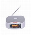 WS-3155 fm radi with usb/sd