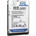 WD320GB hard disk