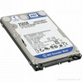 WD250GB  hard disk  1