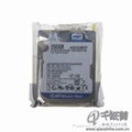 WD250GB  hard disk  2