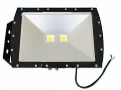 LED Flood Light