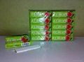Chewing Gum Foshan Guanbojie Company 4