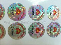 Holographic Destructible Vinyl Materials