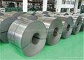 steel coil 2