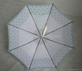2012 new 23 inch straight lady umbrella 2