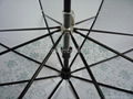 2012 new 23 inch straight lady umbrella 4