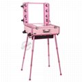 粉色專業帶燈帶鏡子拉杆化妝箱可折疊式台 1
