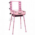 Studio Makeup Case w/ Lights, Mirror, & Legs - Pink