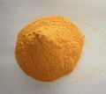 fucoxanthin 1