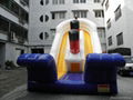 inflatable Titanic slide 5