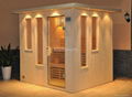 sauna house room with sauna stove