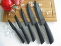 Black zirconia ceramic kitchen knives