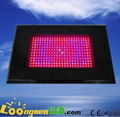 300W LED Grow Light I W each leds for indoor gardening 1