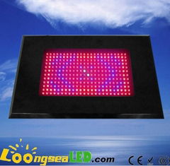 300W LED Grow Light I W each leds for indoor gardening