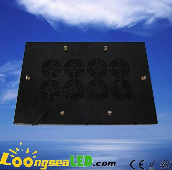 300W LED Grow Light I W each leds for indoor gardening 3