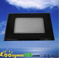 300W LED Grow Light I W each leds for indoor gardening 2