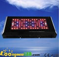 160W LED Grow Light 160W(80*3W)  quad band spectrum for Flowering 1